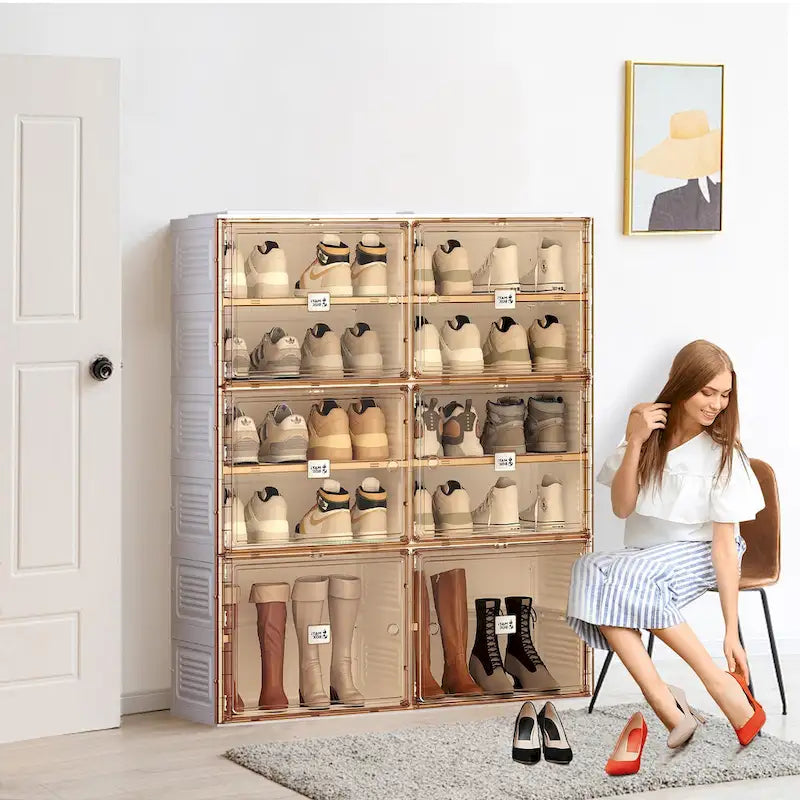 Meuble à chaussures 6 étagères marron et blanc avec portes, panneau plat, usage individuel