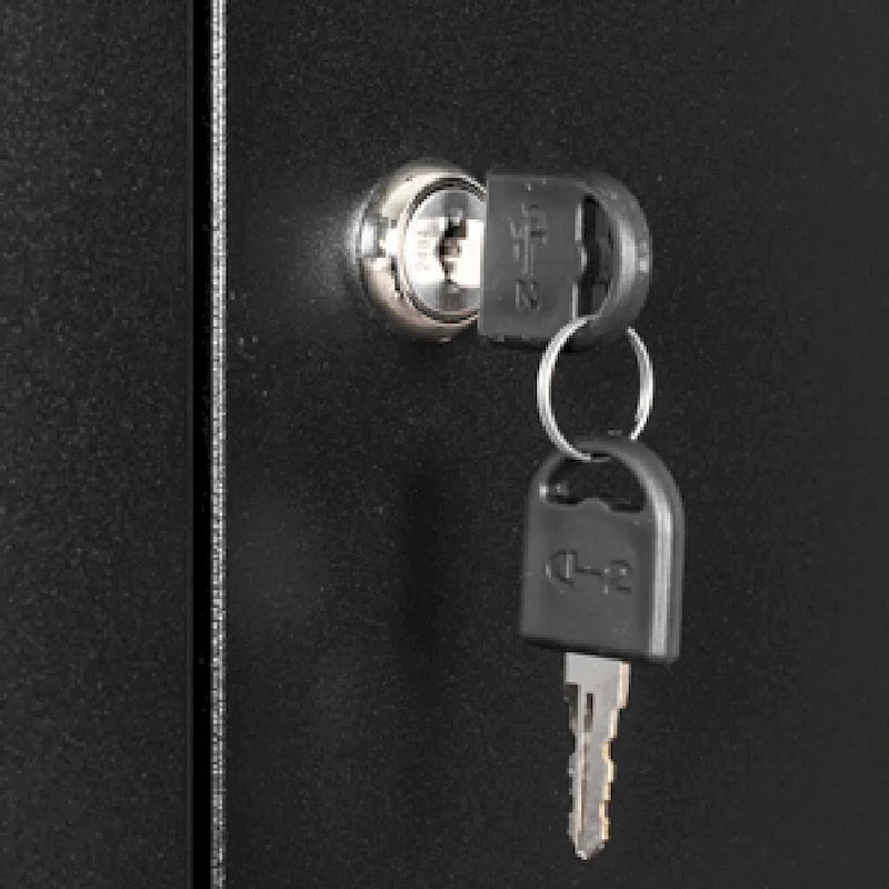 Armoire de rangement métallique blanche à 2 portes avec 4 étagères réglables, usage individuel